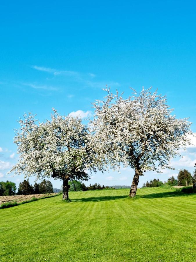 Ferienhaus Ritzmais Bischofsmais Bagian luar foto