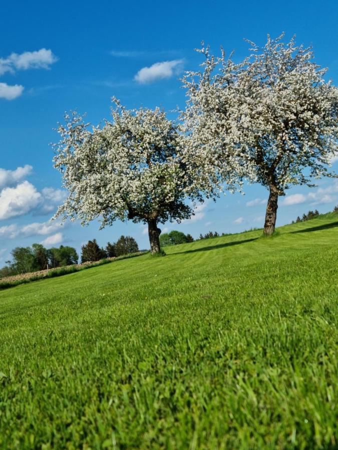 Ferienhaus Ritzmais Bischofsmais Bagian luar foto