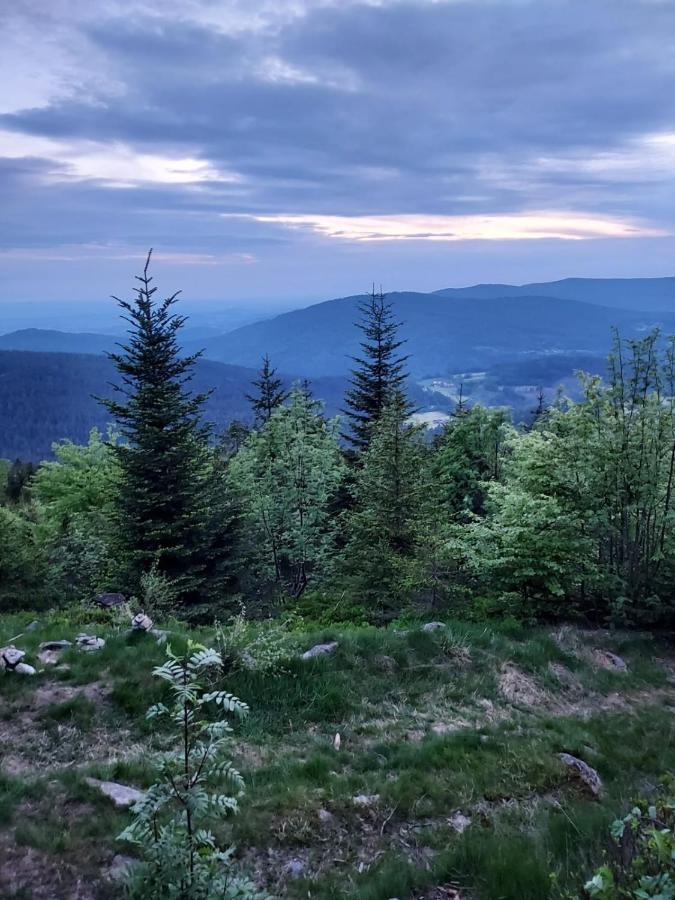 Ferienhaus Ritzmais Bischofsmais Bagian luar foto